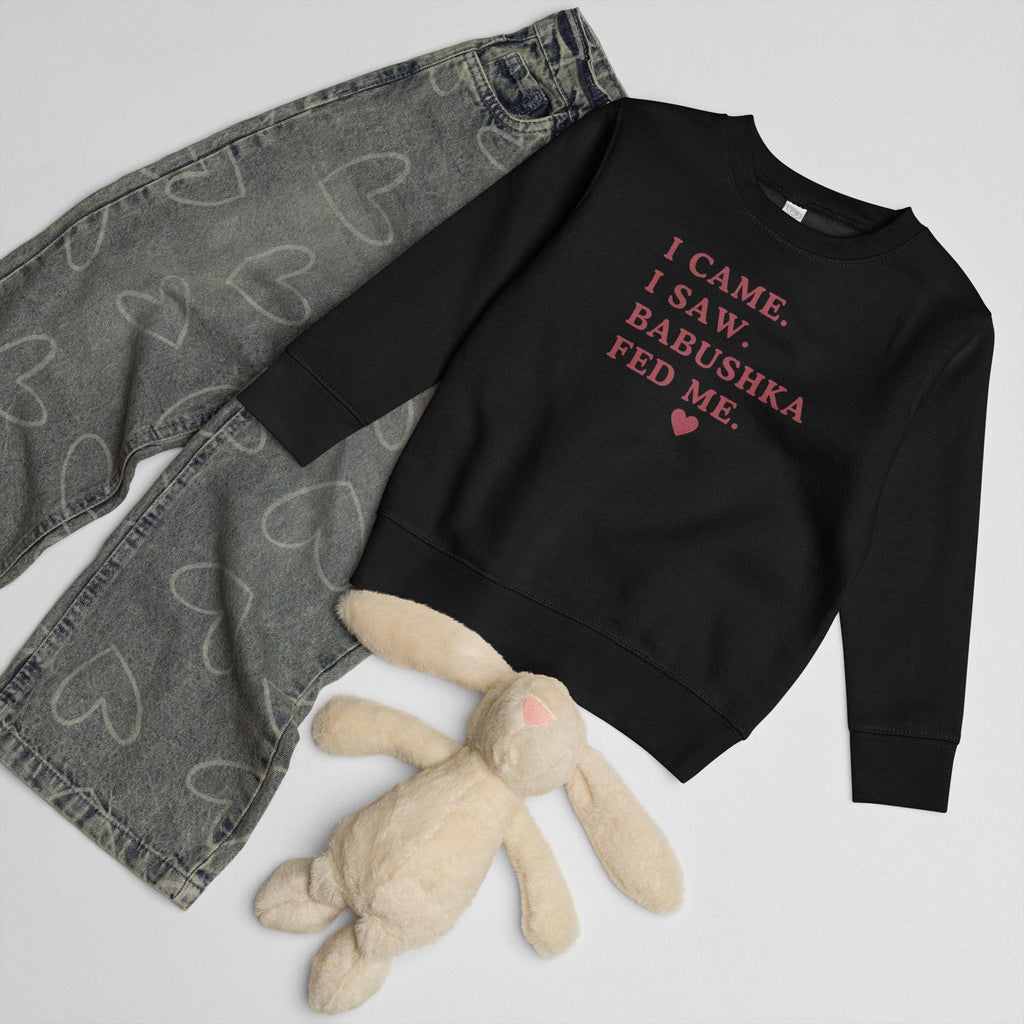 Funny Babushka Baby Sweatshirt, I Came I Saw Babushka Fed Me, Russian Grandma Gift, Toddler Sweatshirt, Cute Grandkid Outfit